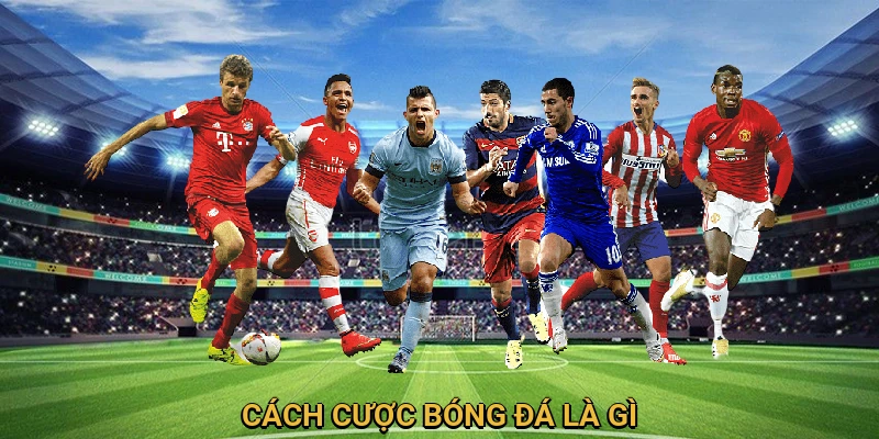 Tìm hiểu cách cược bóng đá
