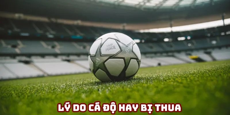 lý do cá độ hay bị thua