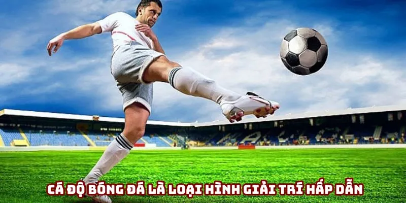 Cá độ bóng đá là loại hình giải trí hấp dẫn