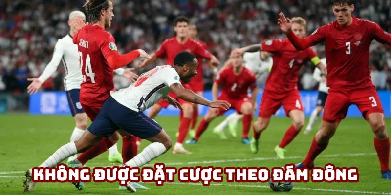 Không được phép đặt cược dựa trên tâm lý đám đông